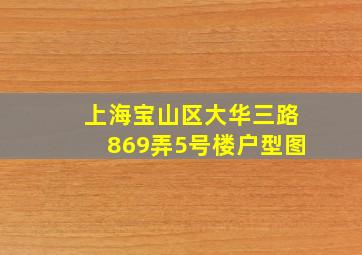 上海宝山区大华三路869弄5号楼户型图