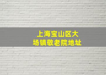 上海宝山区大场镇敬老院地址