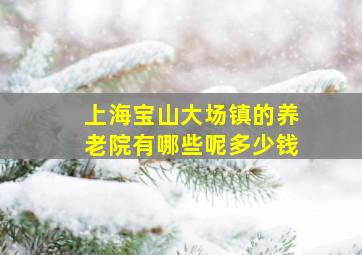 上海宝山大场镇的养老院有哪些呢多少钱