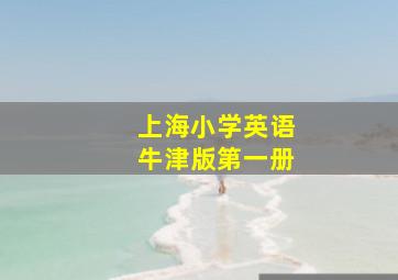 上海小学英语牛津版第一册