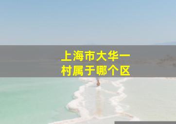 上海市大华一村属于哪个区