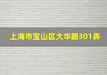 上海市宝山区大华路301弄