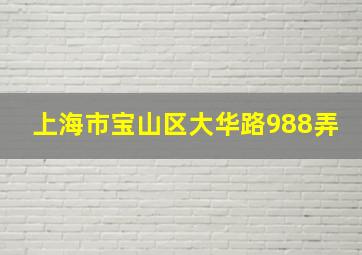 上海市宝山区大华路988弄