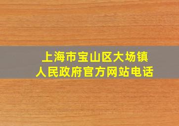 上海市宝山区大场镇人民政府官方网站电话