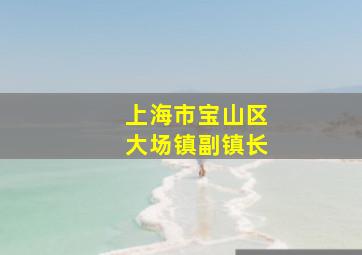 上海市宝山区大场镇副镇长