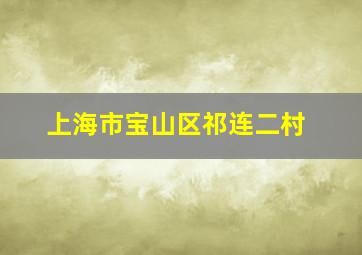 上海市宝山区祁连二村