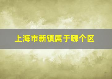 上海市新镇属于哪个区