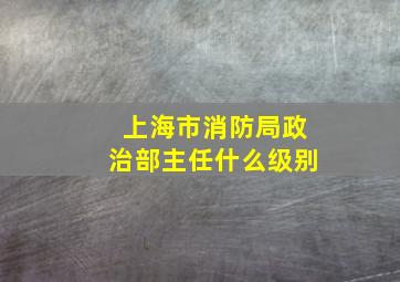 上海市消防局政治部主任什么级别