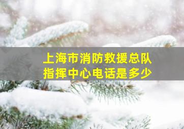 上海市消防救援总队指挥中心电话是多少