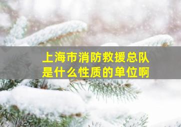 上海市消防救援总队是什么性质的单位啊