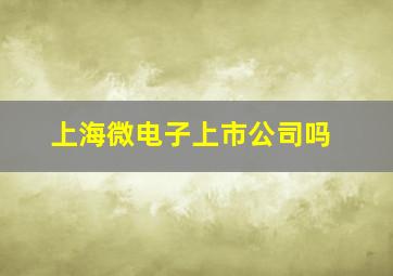 上海微电子上市公司吗