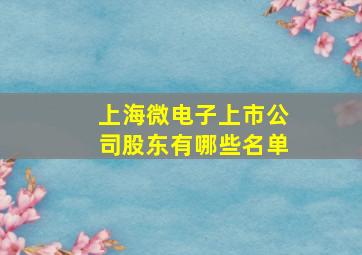 上海微电子上市公司股东有哪些名单