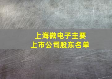 上海微电子主要上市公司股东名单