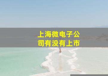 上海微电子公司有没有上市