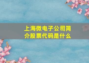 上海微电子公司简介股票代码是什么