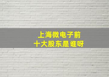 上海微电子前十大股东是谁呀