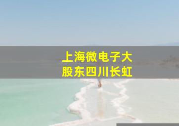 上海微电子大股东四川长虹