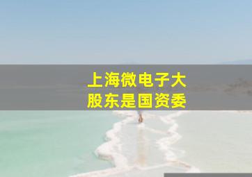 上海微电子大股东是国资委