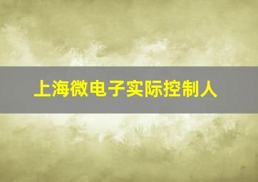 上海微电子实际控制人