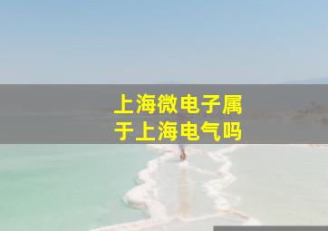 上海微电子属于上海电气吗