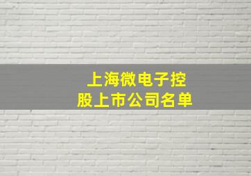 上海微电子控股上市公司名单