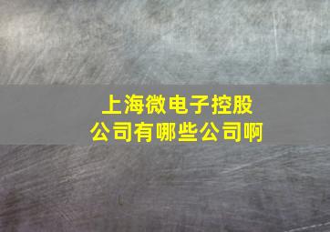 上海微电子控股公司有哪些公司啊