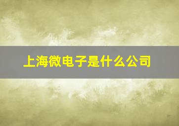 上海微电子是什么公司