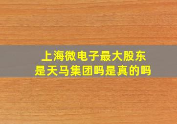 上海微电子最大股东是天马集团吗是真的吗