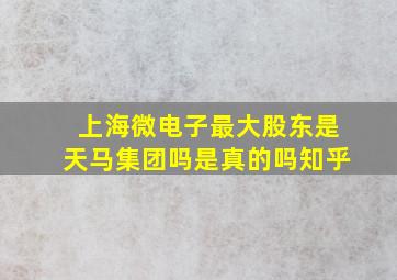 上海微电子最大股东是天马集团吗是真的吗知乎