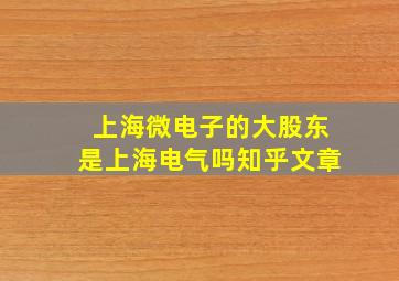 上海微电子的大股东是上海电气吗知乎文章