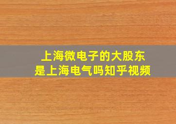 上海微电子的大股东是上海电气吗知乎视频