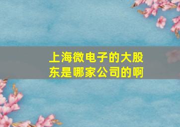 上海微电子的大股东是哪家公司的啊