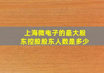 上海微电子的最大股东控股股东人数是多少