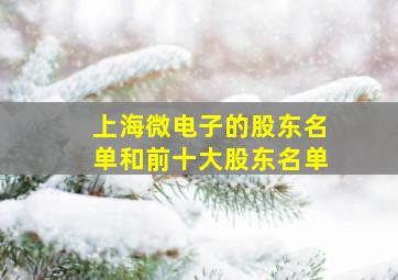 上海微电子的股东名单和前十大股东名单