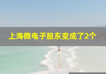 上海微电子股东变成了2个