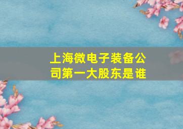 上海微电子装备公司第一大股东是谁