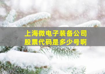 上海微电子装备公司股票代码是多少号啊