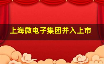 上海微电子集团并入上市