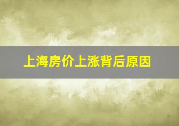 上海房价上涨背后原因