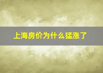 上海房价为什么猛涨了