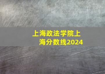 上海政法学院上海分数线2024