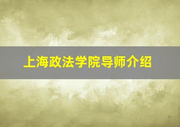 上海政法学院导师介绍