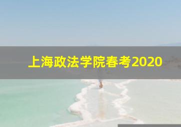 上海政法学院春考2020