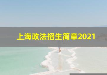 上海政法招生简章2021