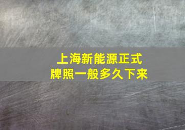 上海新能源正式牌照一般多久下来