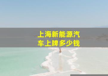 上海新能源汽车上牌多少钱