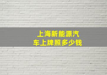 上海新能源汽车上牌照多少钱