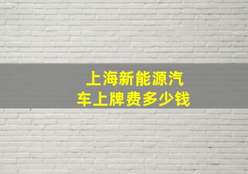 上海新能源汽车上牌费多少钱