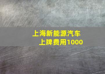 上海新能源汽车上牌费用1000