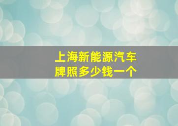 上海新能源汽车牌照多少钱一个